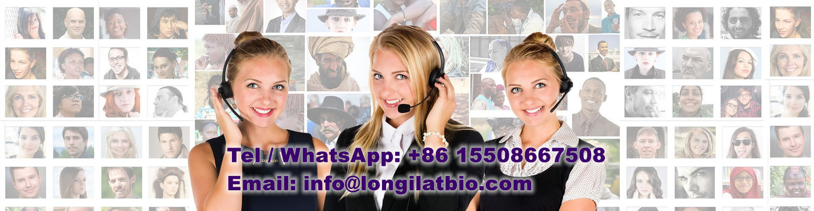 quality GS-441524 factory