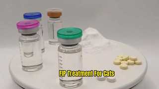 GS-441524 API Supplier for FIP Treatment in Cats