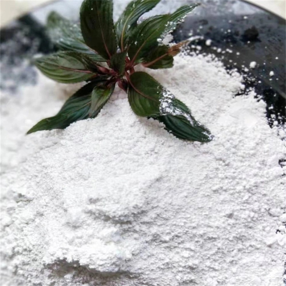 Buy High Quality Allantoin Powder For Skincare Formulations CAS 97-59-6