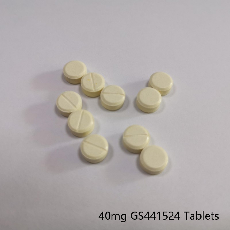 Places For Fip Injection GS-441524 FIP Treatment Injection 6ml-10ml Vials