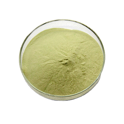 Organic Broccoli Seed Extract Powder Glucoraphanin CAS 21414-41-5 For Anti Cancer