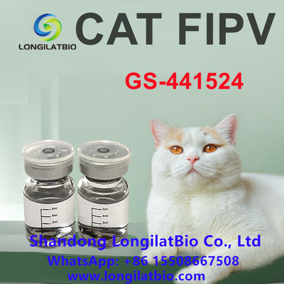 Anti FIP Remdesivir FIP Treatment Cat FIP GS 441 20mg/ML