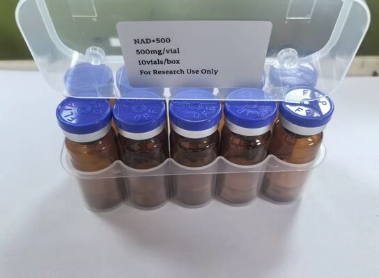 High Purity NAD+ Lyophilized Vials 500mg NAD Injectable Powder for Energy and Anti-Aging Support