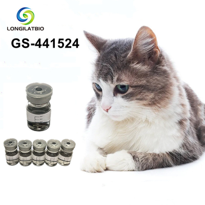 GS441524 Customized Top Grade GS 441524 FIP CAS No 1191237-69-0 for FIPV