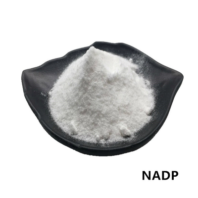 CAS 1184-16-3 NADP Powder 99%  Beta Nicotinamide Adenine Dinucleotide Phosphate